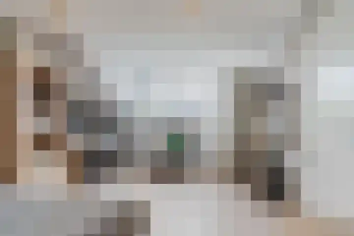 Bachstraat 22 Halsteren thumbnail 39