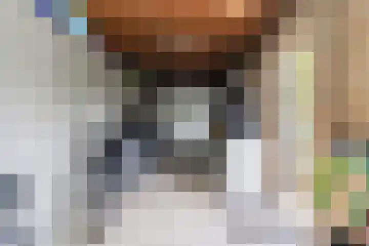 Bachstraat 22 Halsteren thumbnail 44