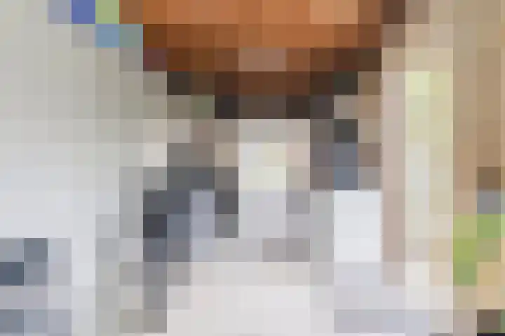 Bachstraat 22 Halsteren thumbnail 45