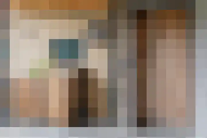 Bachstraat 22 Halsteren thumbnail 47