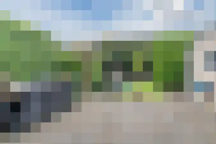 Bachstraat 22 Halsteren thumbnail 49