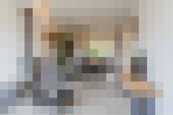 Bachstraat 22 Halsteren thumbnail 5