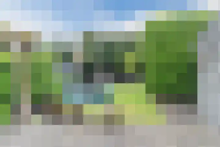 Bachstraat 22 Halsteren thumbnail 51