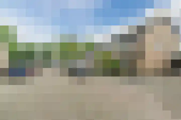 Bachstraat 22 Halsteren thumbnail 54