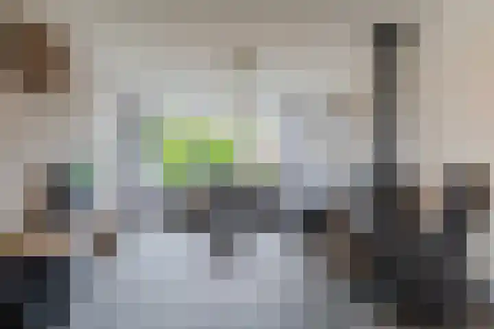 Bachstraat 22 Halsteren thumbnail 6