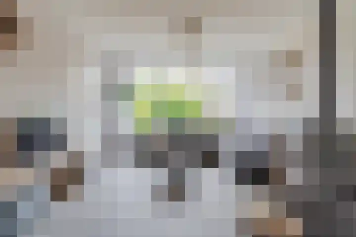 Bachstraat 22 Halsteren thumbnail 7