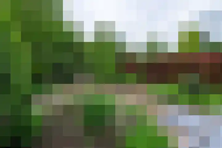 Bachstraat 22 Nieuwkoop thumbnail 11