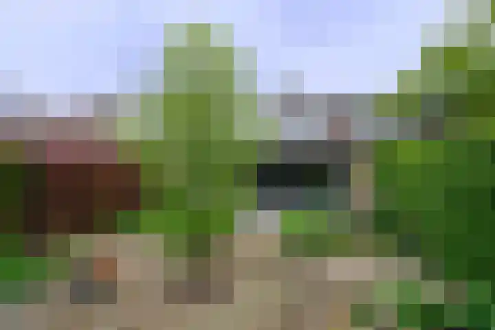 Bachstraat 22 Nieuwkoop thumbnail 12