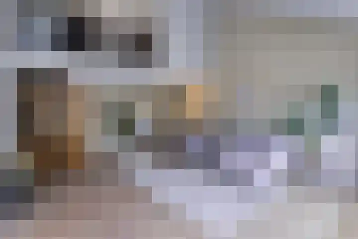 Bachstraat 22 Nieuwkoop thumbnail 14