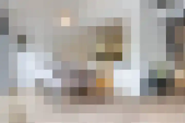 Bachstraat 22 Nieuwkoop thumbnail 16