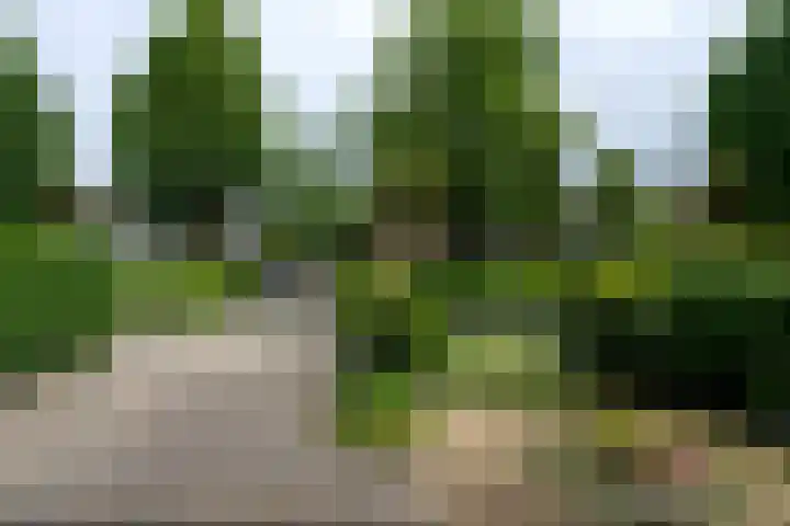 Bachstraat 22 Nieuwkoop thumbnail 29