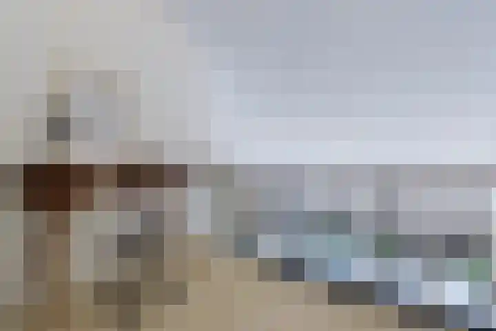 Bachstraat 22 Nieuwkoop thumbnail 32
