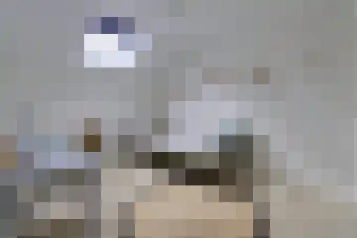 Bachstraat 22 Nieuwkoop thumbnail 36