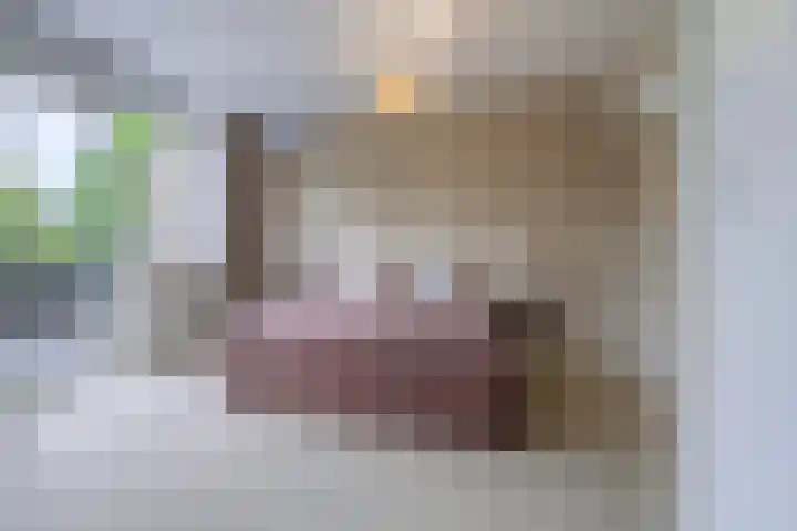 Bachstraat 22 Nieuwkoop thumbnail 40
