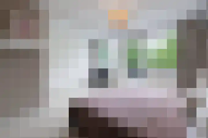 Bachstraat 22 Nieuwkoop thumbnail 41