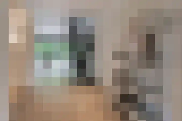 Bachstraat 22 Nieuwkoop thumbnail 5