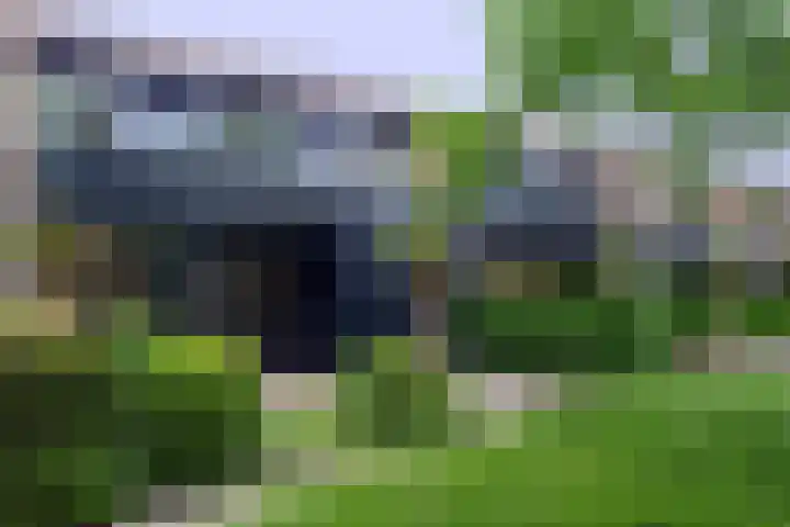 Bachstraat 22 Nieuwkoop thumbnail 51