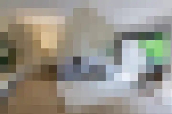 Bachstraat 22 Nieuwkoop thumbnail 6