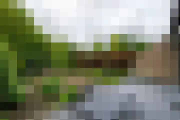 Bachstraat 22 Nieuwkoop thumbnail 9