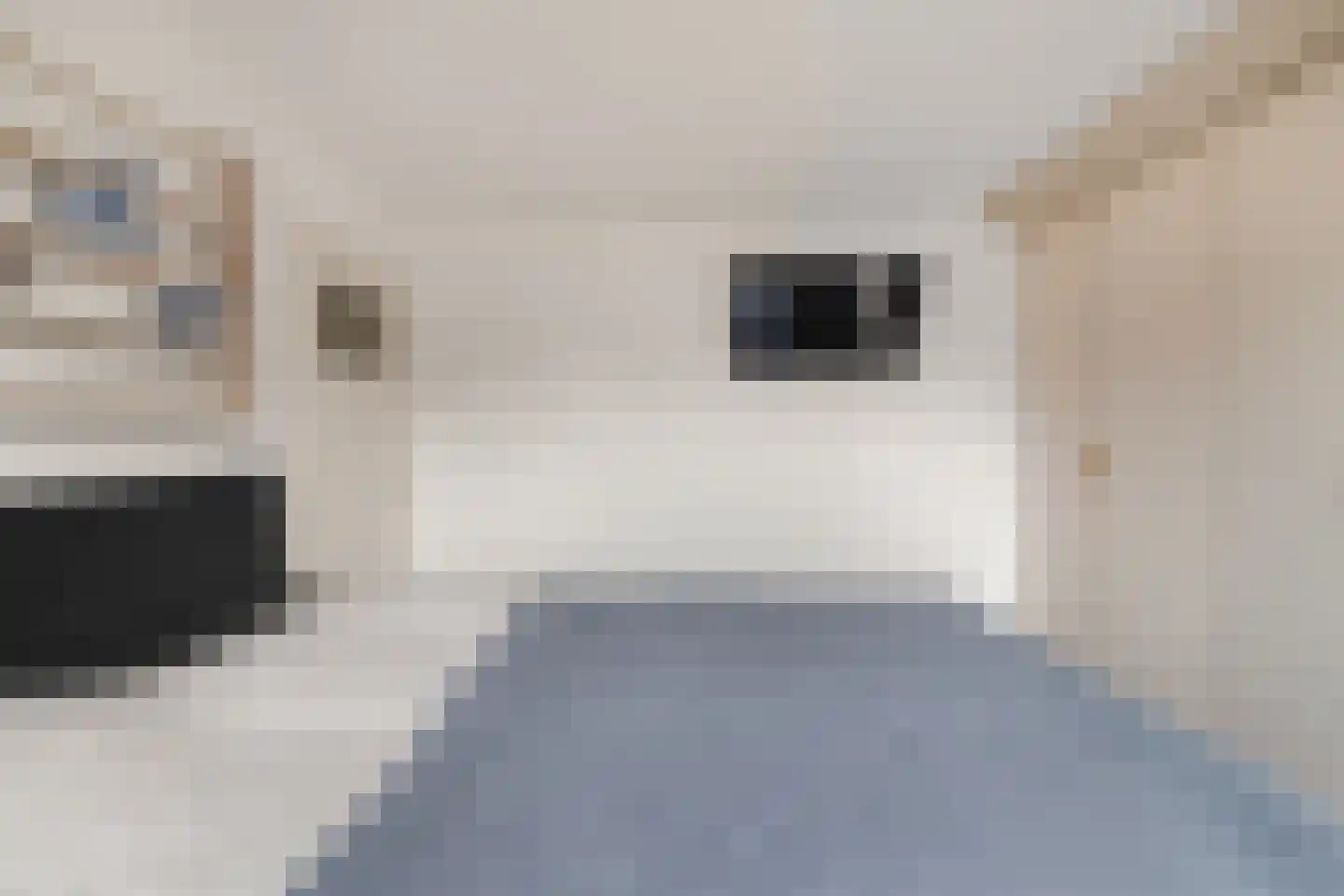 Bachstraat 24 Akersloot thumbnail 20