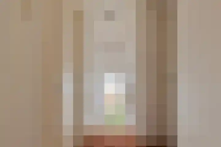 Bachstraat 24 Geleen thumbnail 13