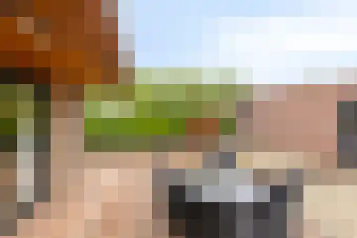 Bachstraat 24 Geleen thumbnail 26