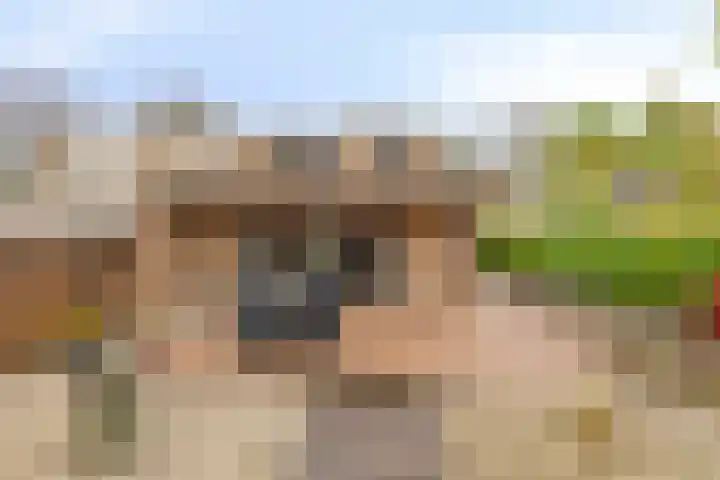 Bachstraat 24 Geleen thumbnail 29