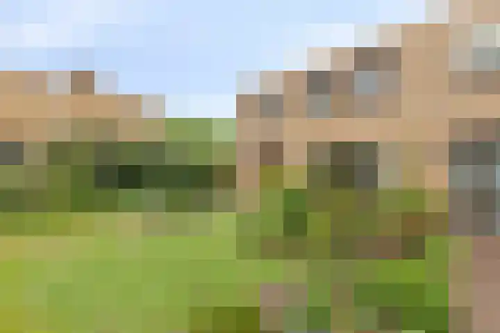 Bachstraat 24 Geleen thumbnail 32