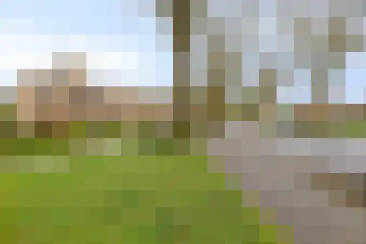Bachstraat 24 Geleen thumbnail 34