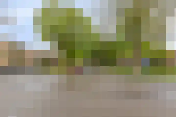 Bachstraat 24 Geleen thumbnail 35