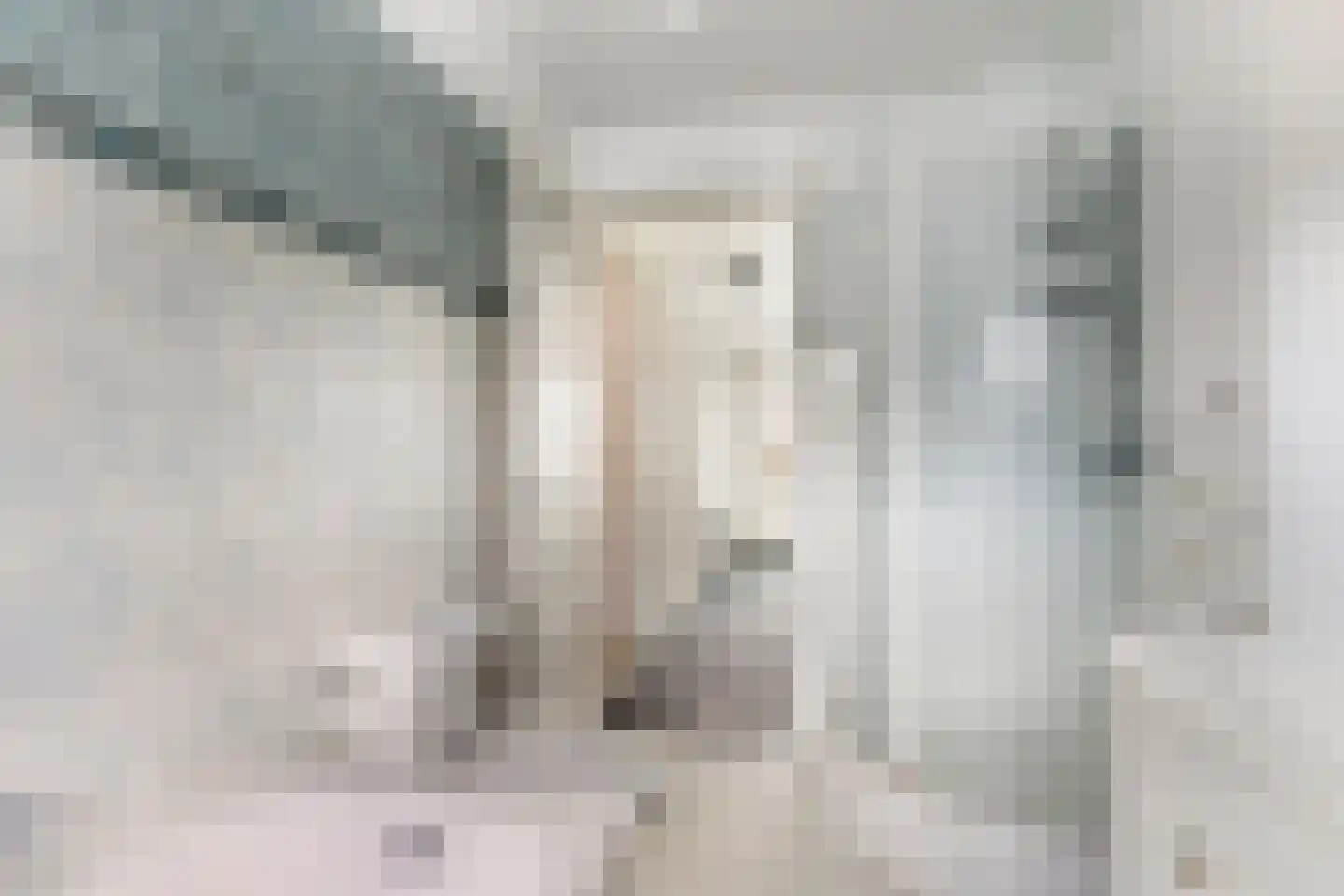 Bachstraat 24 Nijmegen thumbnail 19