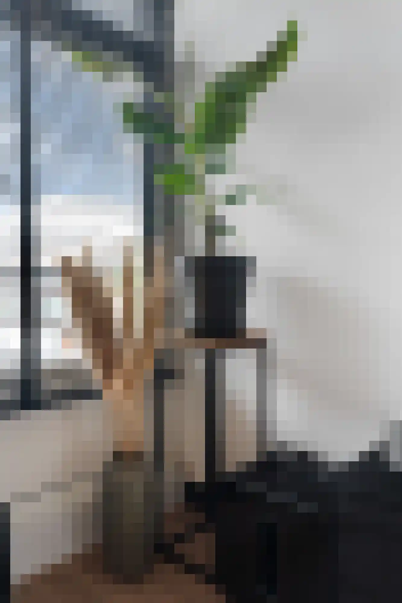 Bachstraat 25 Vlaardingen thumbnail 22