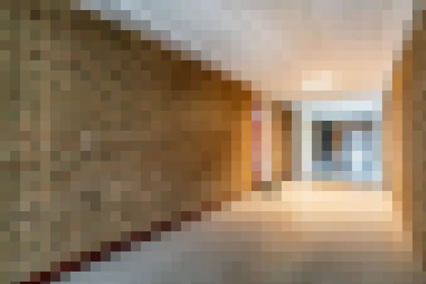 Bachstraat 256 Leiden thumbnail 22