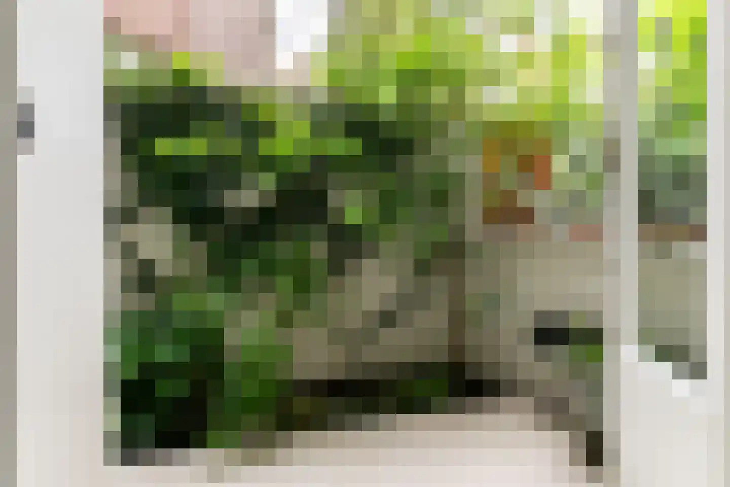 Bachstraat 26 Amsterdam thumbnail 10