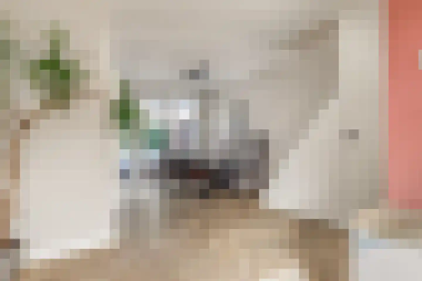 Bachstraat 29 Akersloot thumbnail 13