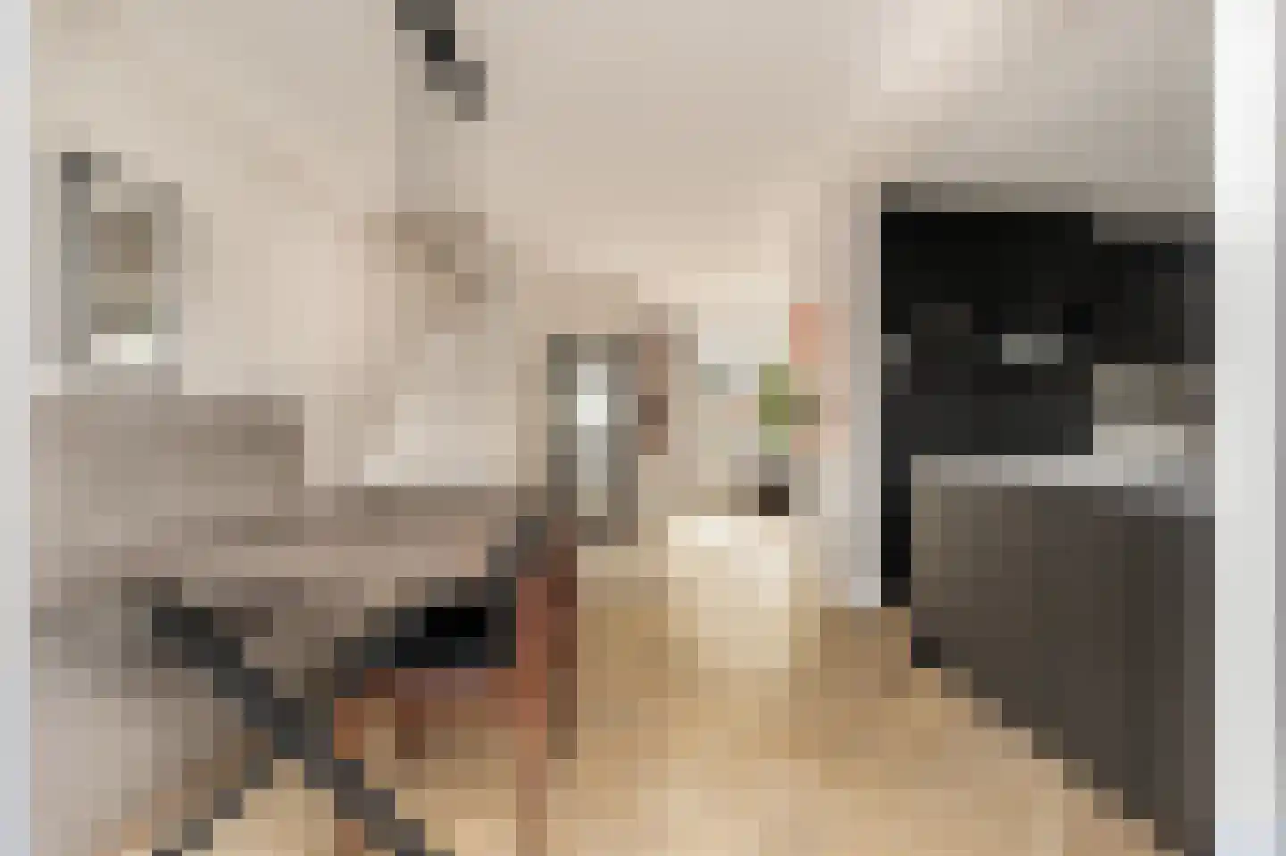Bachstraat 29 Akersloot thumbnail 19