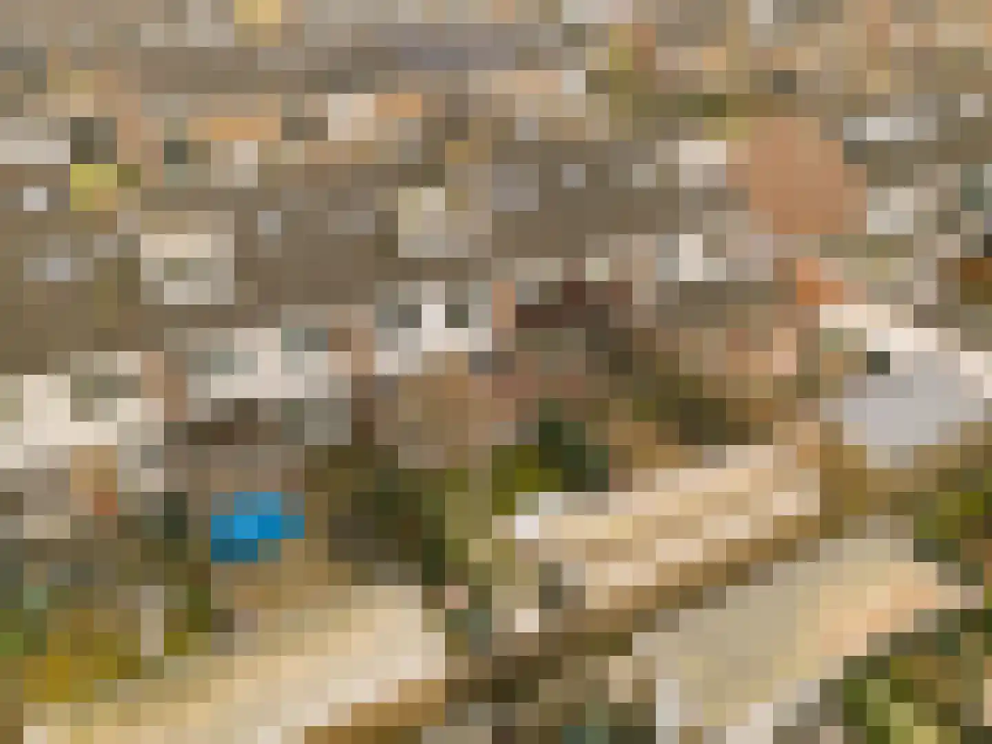 Bachstraat 29 Akersloot thumbnail 56