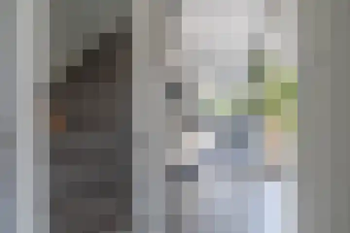 Bachstraat 29 Castricum thumbnail 20