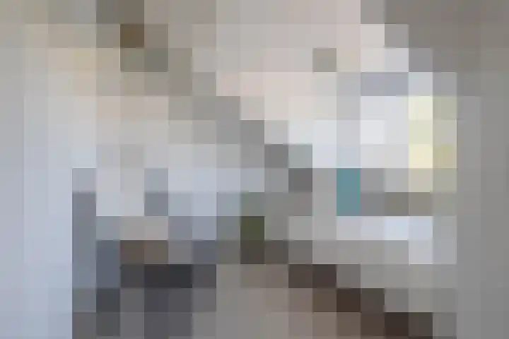 Bachstraat 29 Castricum thumbnail 32