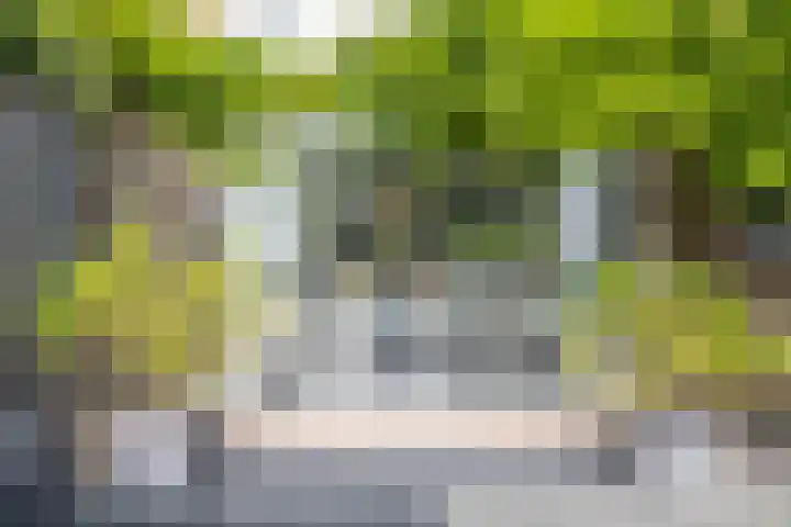 Bachstraat 29 Castricum thumbnail 36