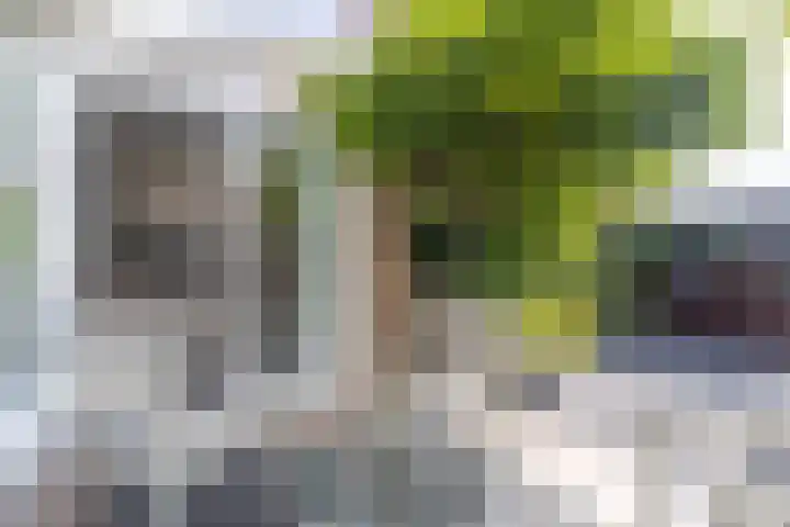 Bachstraat 29 Castricum thumbnail 37