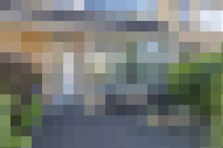 Bachstraat 29 Castricum thumbnail 42
