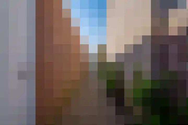 Bachstraat 30 Zevenaar thumbnail 37
