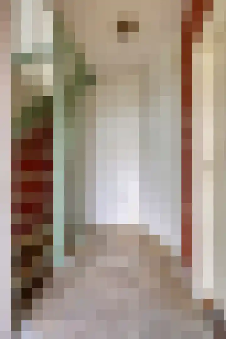 Bachstraat 33 Boxtel thumbnail 19