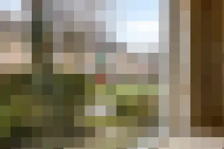 Bachstraat 33 Boxtel thumbnail 37