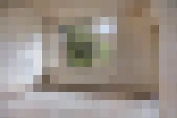 Bachstraat 33 Boxtel thumbnail 38