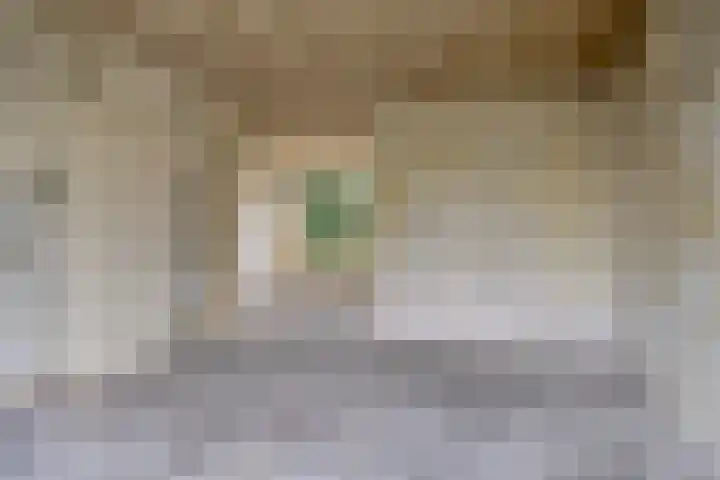 Bachstraat 33 Boxtel thumbnail 7
