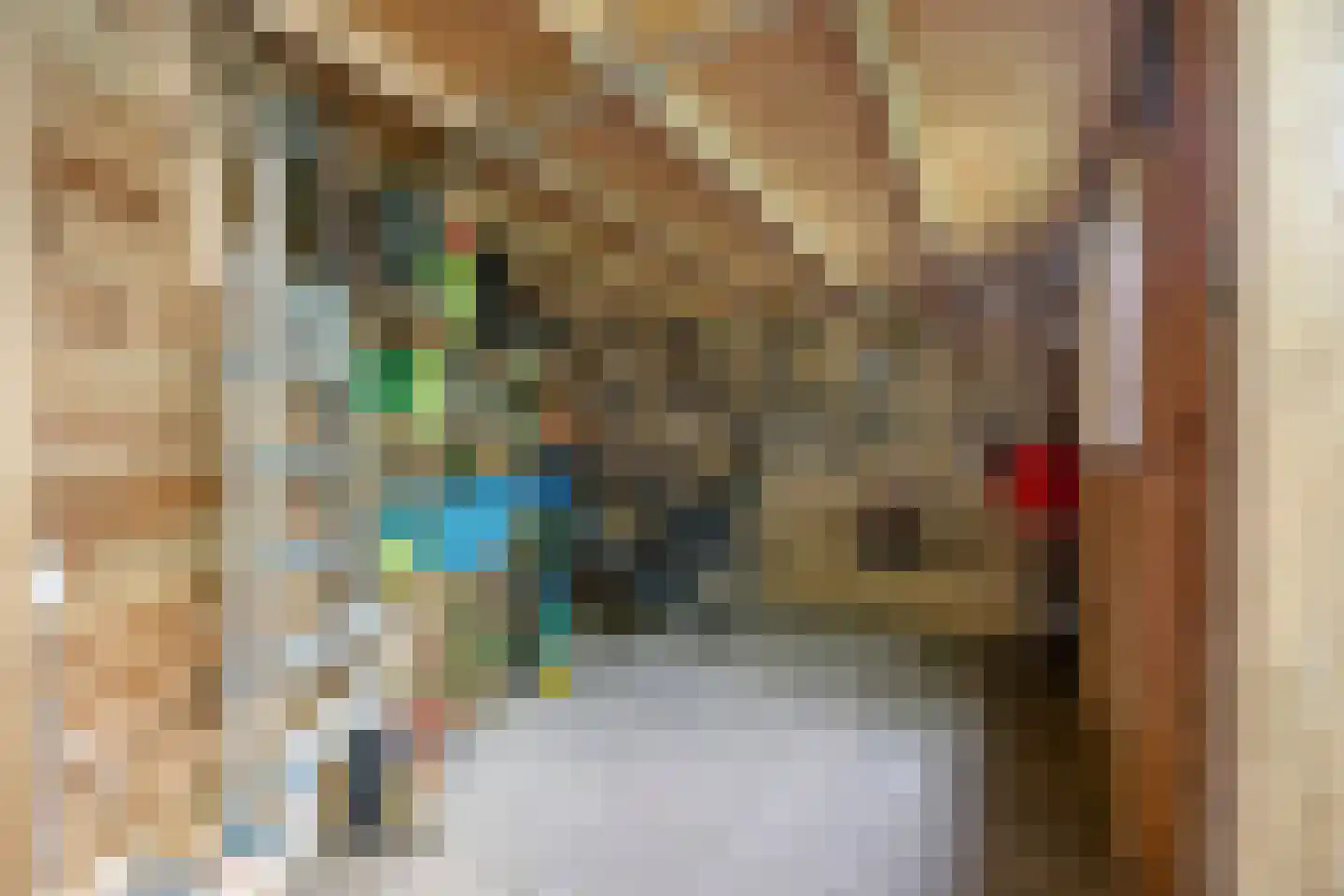 Bachstraat 33 Nijmegen thumbnail 32