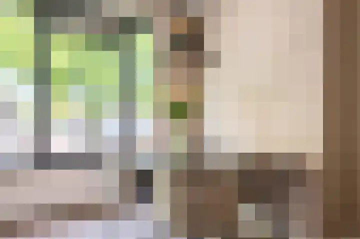 Bachstraat 36 Heemskerk thumbnail 9