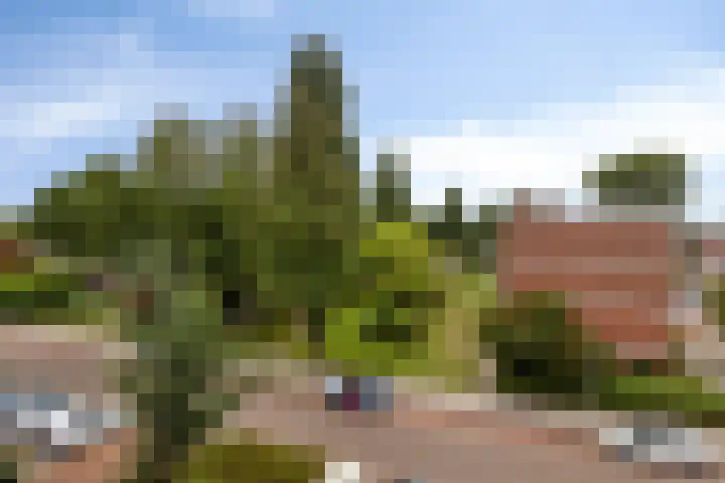 Bachstraat 382 Leiden thumbnail 34